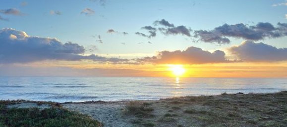 2 bedrooms Apartment in Poggio-Mezzana, France No. 300734 9