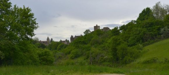 Propriété commerciale à Tournus, France 350m² No. 311214 2