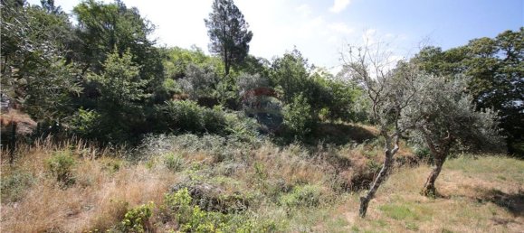2440m² Land in Unhais da Serra, Portugal No. 66805 3