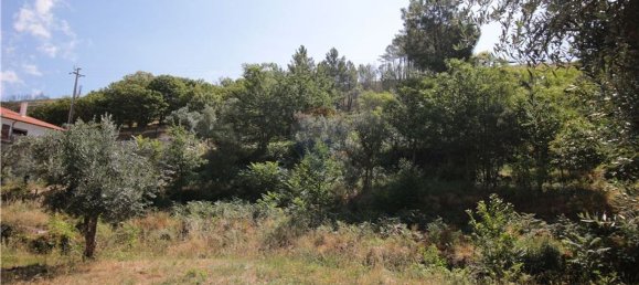 2440m² Land in Unhais da Serra, Portugal No. 66805 2