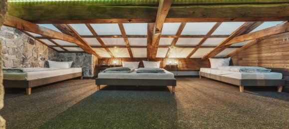 Коммерческая недвижимость с 20 комнатами в Штайнберг ам Рофан, Австрия № 245903 16