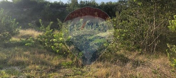 Terreno em Torreira, Portugal 511 m² N.º 51704 3