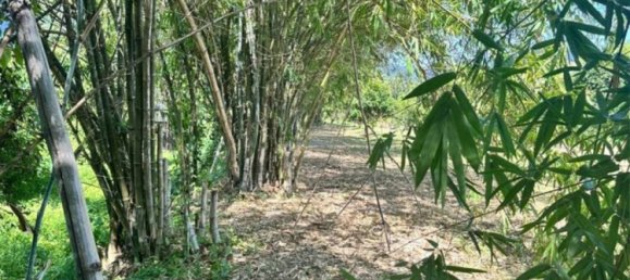  Commercial property in Surat Thani, Thailand No. 24901 3