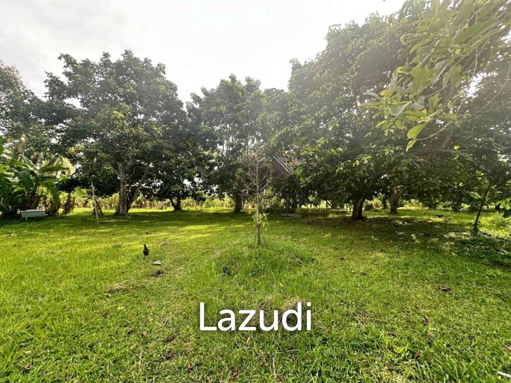  Commercial property in Surat Thani, Thailand No. 24901