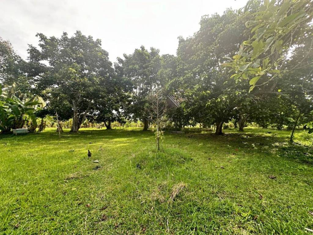 Terrain à Surat Thani, Thailand No. 24901