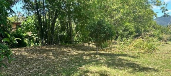  Commercial property in Surat Thani, Thailand No. 24901 2