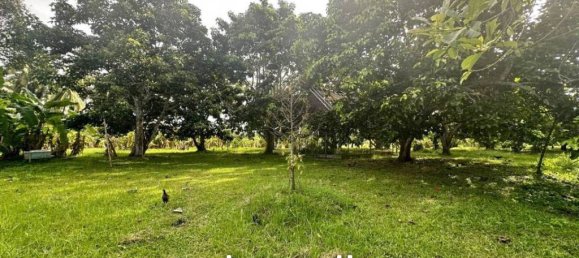  Commercial property in Surat Thani, Thailand No. 24901 4