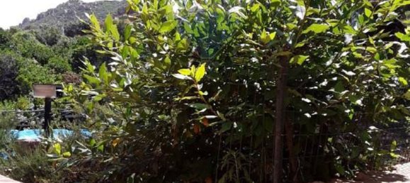 Villa de 7 dormitorios en Trinità d'Agultu e Vignola, Italy No. 215607 26