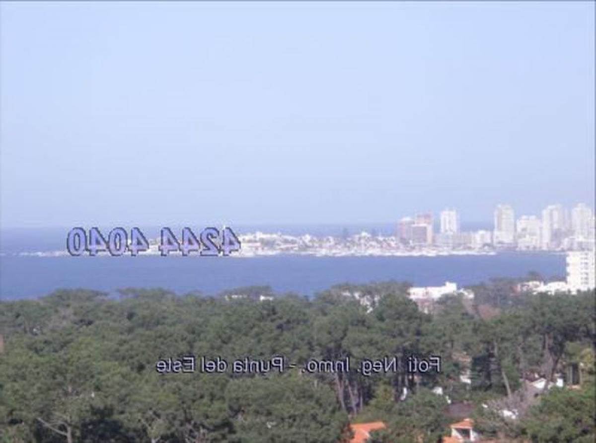 2 bedrooms Apartment in Punta del Este, Uruguay No. 7454
