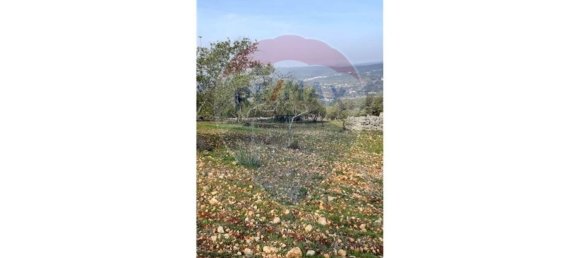 5560m² Land in Loule, Portugal No. 32841 13