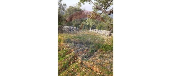 5560m² Land in Loule, Portugal No. 32841 12