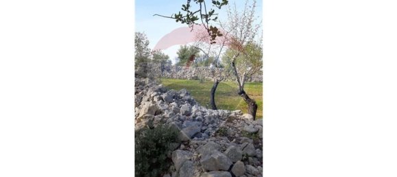 5560m² Land in Loule, Portugal No. 32841 15