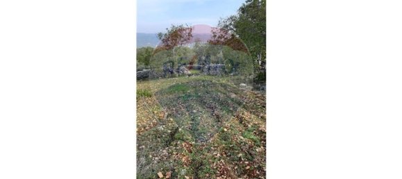 5560m² Land in Loule, Portugal No. 32841 6