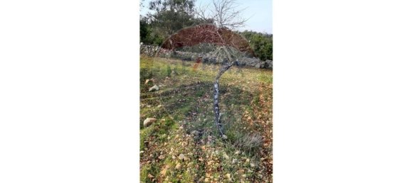 5560m² Land in Loule, Portugal No. 32841 2