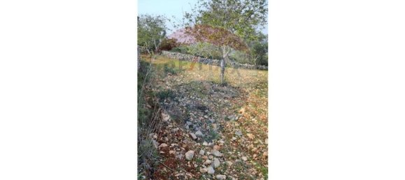 5560m² Land in Loule, Portugal No. 32841 8