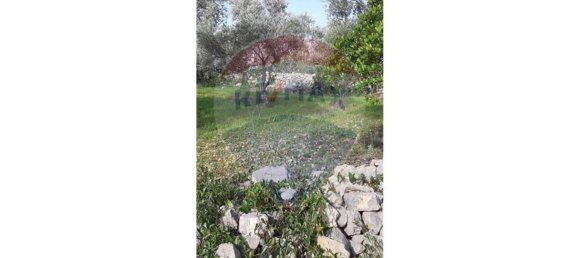5560m² Land in Loule, Portugal No. 32841 14