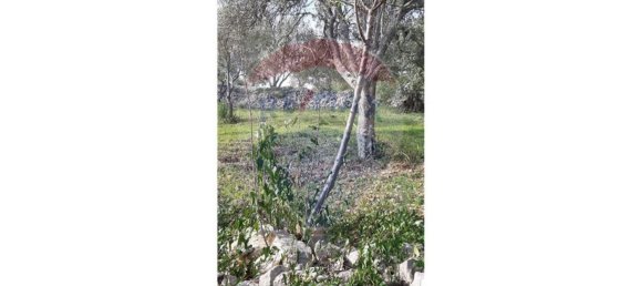 5560m² Land in Loule, Portugal No. 32841 5