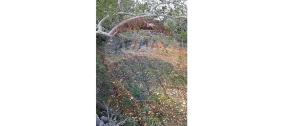 5560m² Land in Loule, Portugal No. 32841 9