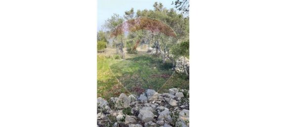 5560m² Land in Loule, Portugal No. 32841 10