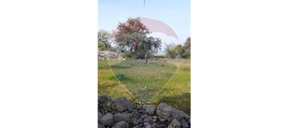 5560m² Land in Loule, Portugal No. 32841 16