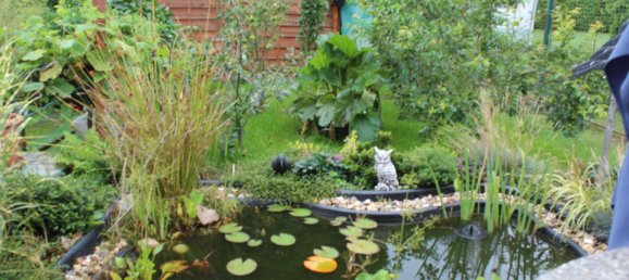 Земельный участок в Анхальт-Биттерфельд, Германия № 258710 3