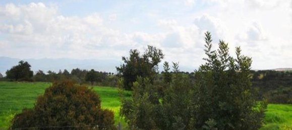 Вилла с 3 спальнями в Нео Хорио, Кипр № 10488 10