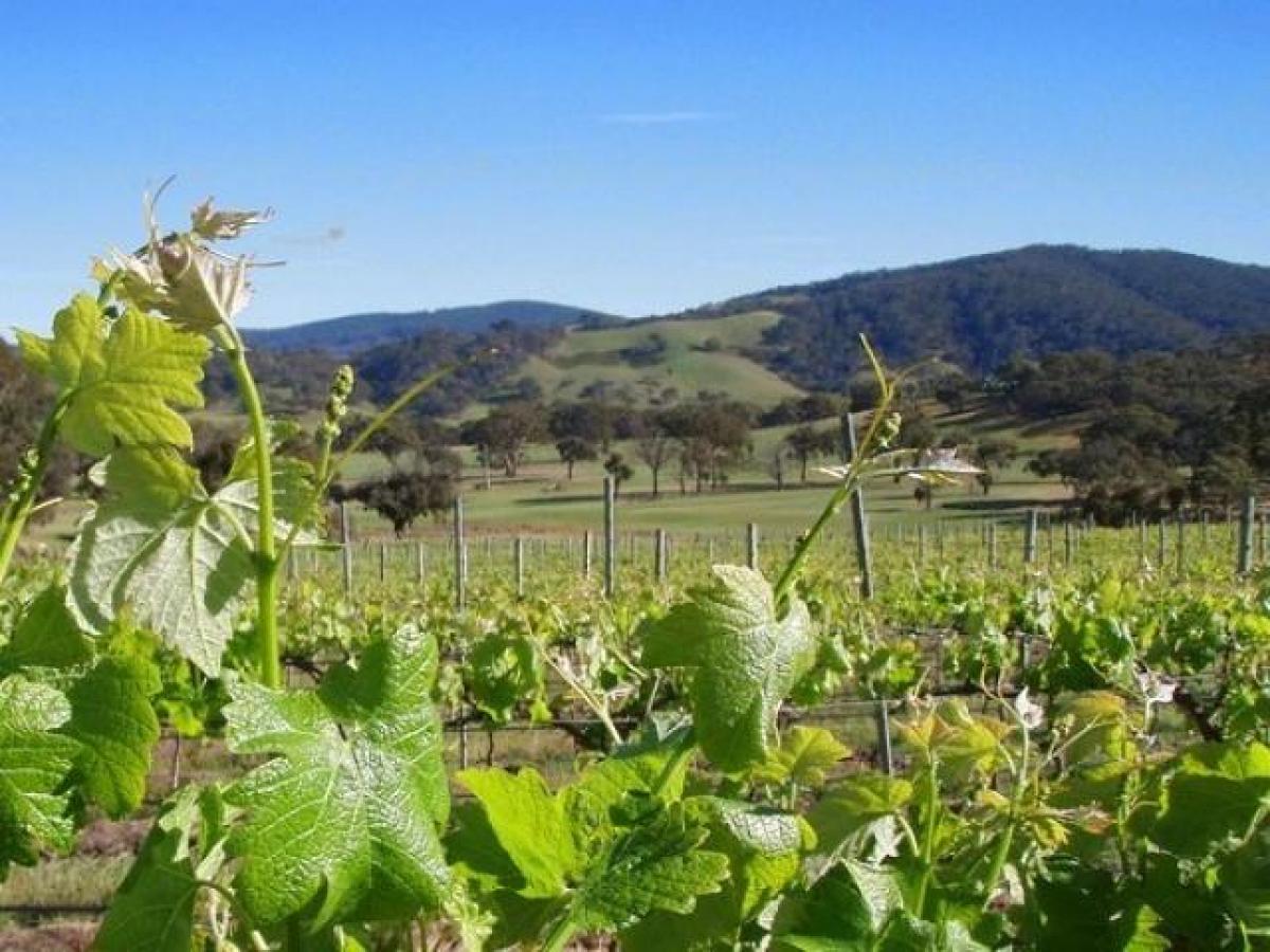 Земельный участок в Тамилнад, Индия № 38303