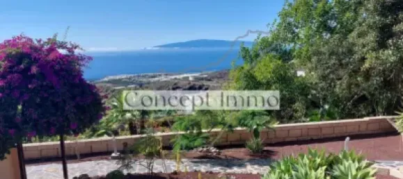 12 bedrooms Commercial property in Guia de Isora, Spain No. 169520 69