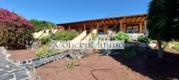 Imóvel comercial T12 em Guia de Isora, Spain N.º 169520 50