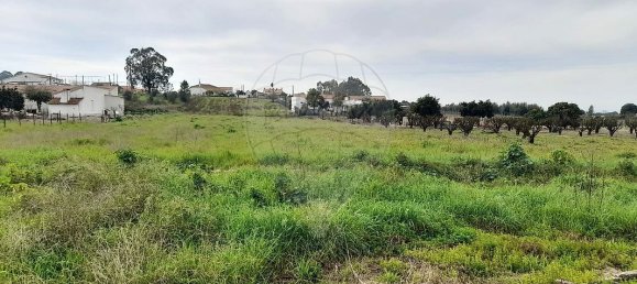 3 Schlafzimmer Haus in Alpiarca, Portugal, Nr. 187038 17