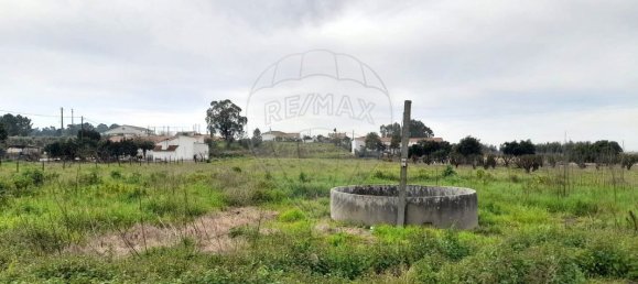 3 Schlafzimmer Haus in Alpiarca, Portugal, Nr. 187038 19