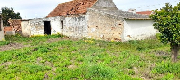 3 Schlafzimmer Haus in Alpiarca, Portugal, Nr. 187038 15