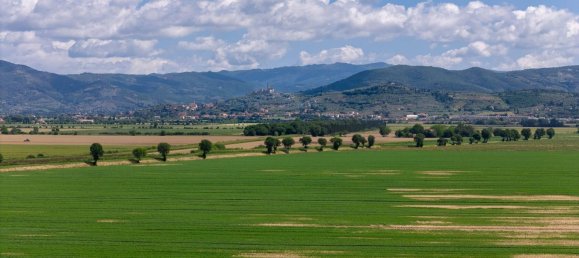 6 rooms House in Cortona, Italy No. 53546 24