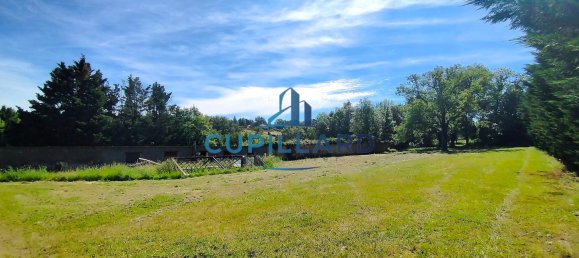 Casa T6 em Saint-Vincent-de-Boisset, France N.º 197942 8