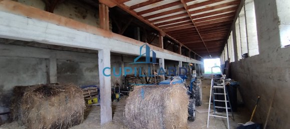 Casa T6 em Saint-Vincent-de-Boisset, France N.º 197942 6