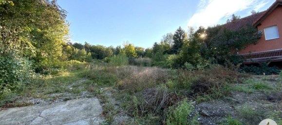 5 rooms Villa in Hagenbrunn, Austria No. 235874 5