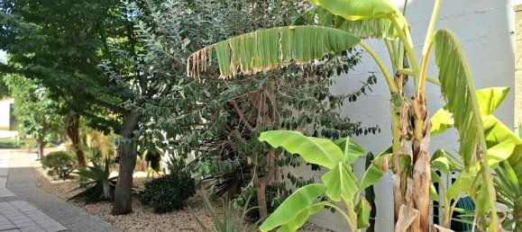 5 chambres Villa à Alicante, Spain No. 190469 9