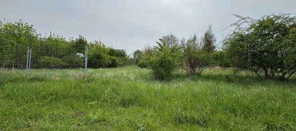 Grundstück in Anhalt-Bitterfeld, Germany, Nr. 236299 6