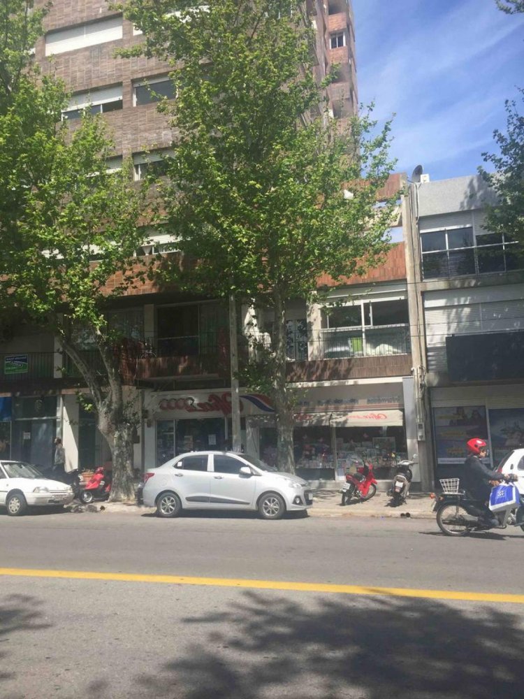 Studio in Colonia, Uruguay, Nr. 2411