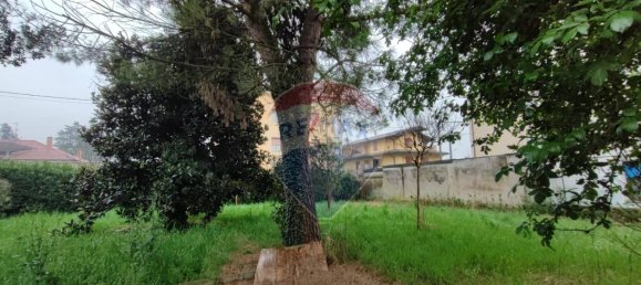 1-Zimmer Grundstück in Arcene, Italy, Nr. 38096 10