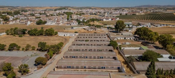 28000m² Building in Campillos, Spain No. 133628 10
