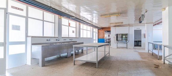 28000m² Building in Campillos, Spain No. 133628 23