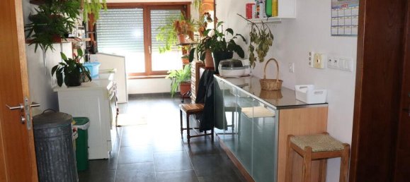 5 غرف نوم منزل في Bornes de Aguiar, Portugal رقم 143958 16