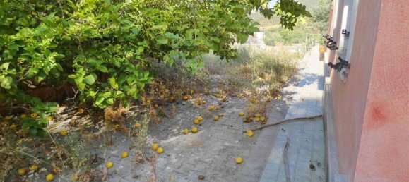 3 rooms Villa in Budoni, Italy No. 24931 29