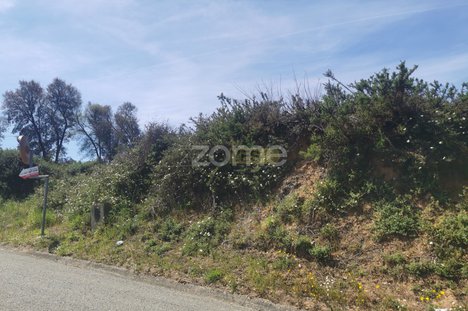 Grundstück in Agueda, Portugal 3700m², Nr. 78832