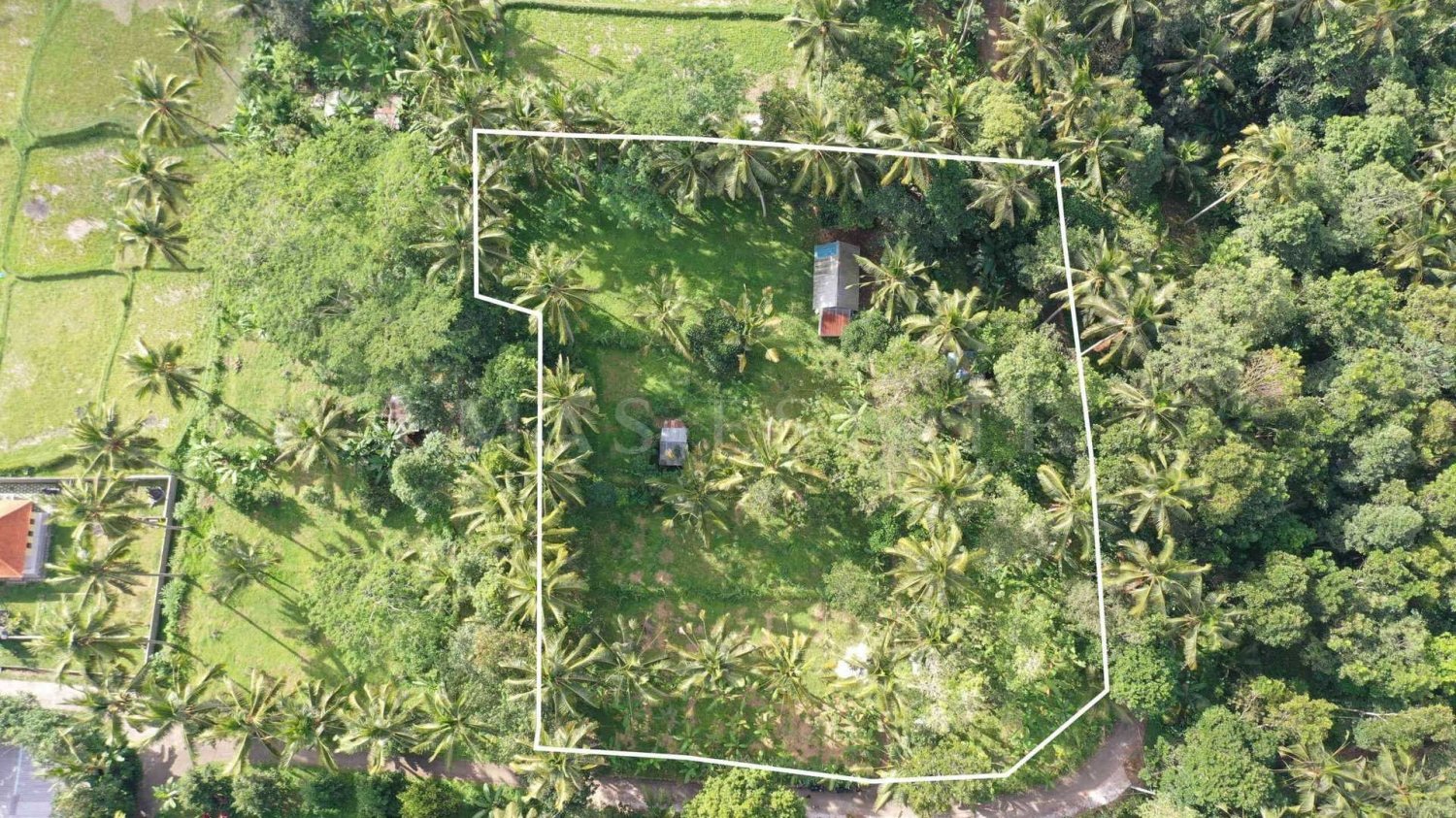  Land in Tegallalang, Indonesia No. 1153