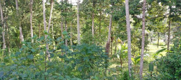  Land in Tegallalang, Indonesia No. 1153 13