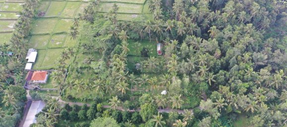  Land in Tegallalang, Indonesia No. 1153 6