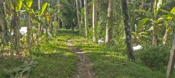  Land in Tegallalang, Indonesia No. 1153 22