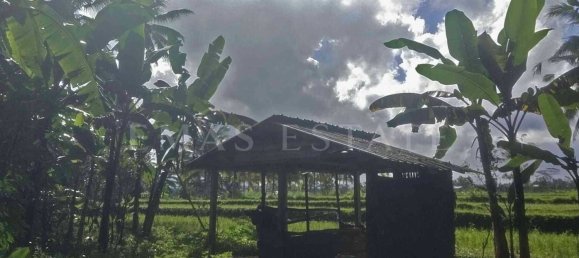  Land in Tegallalang, Indonesia No. 1153 14